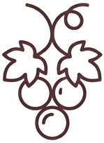 Grapes fruit icon